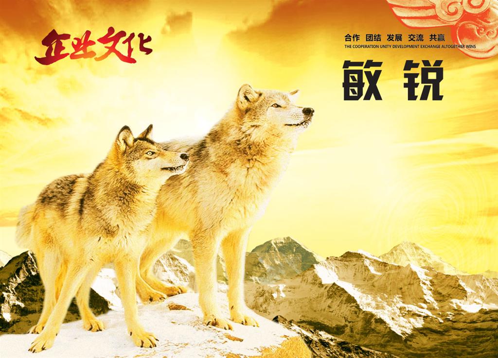 汉斯顿教你如何做一个合格的加盟商