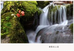 日常饮水应该注意哪些事项